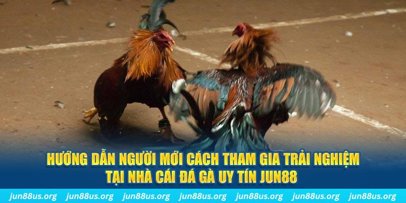 78wind loi game dot kich ket noi may chu that bai