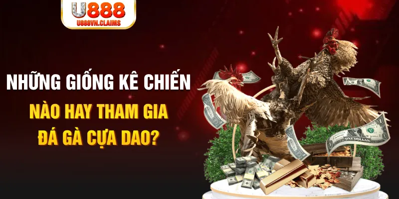 78wind KA Bắn cá