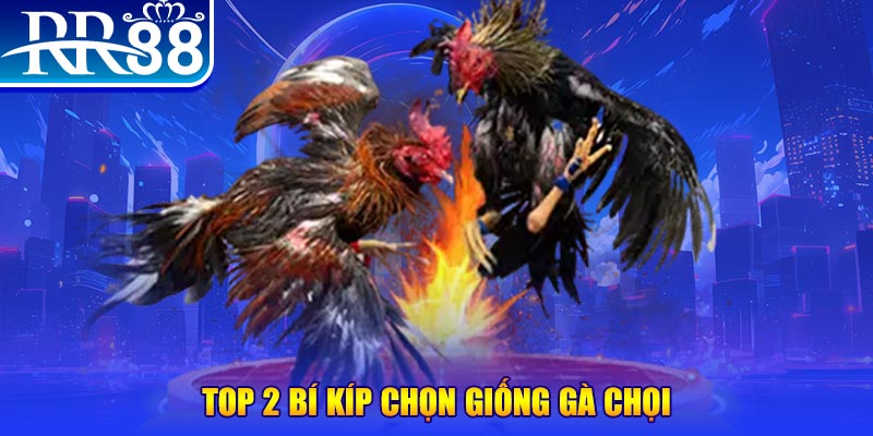 78wind mục tiêu của người chơi trong baccarat là gì？