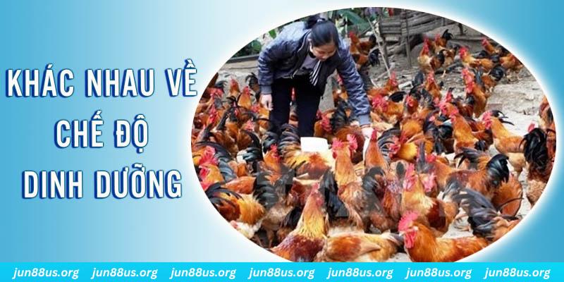 78wind xổ số miền nam thứ năm hàng tuần