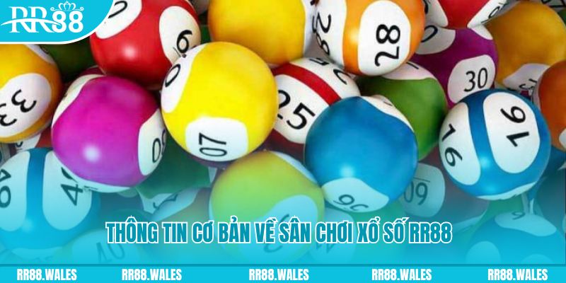 78wind đá gà hôm nay