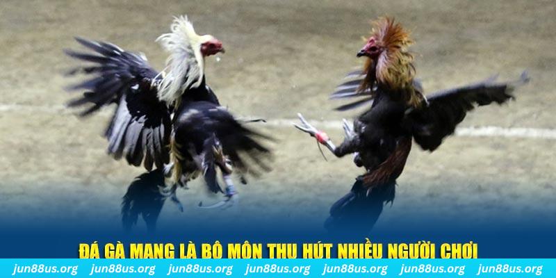 78wind tại sao tải game bài sunwin không được