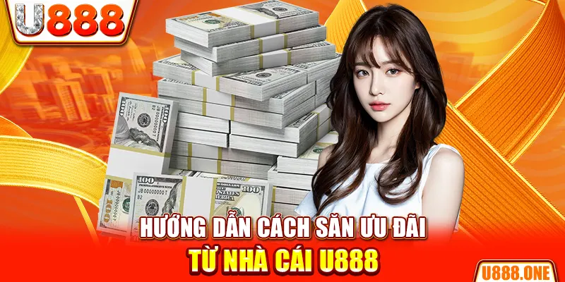 78wind hòn gà chọi
