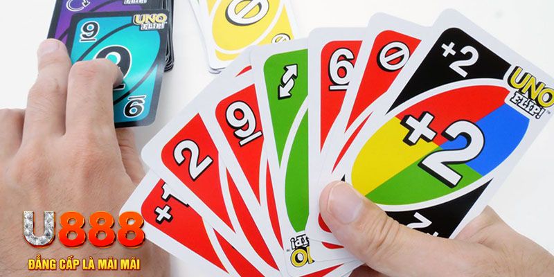 78wind gà chọi cu cần