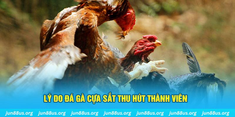 78wind chiếm slot là gì