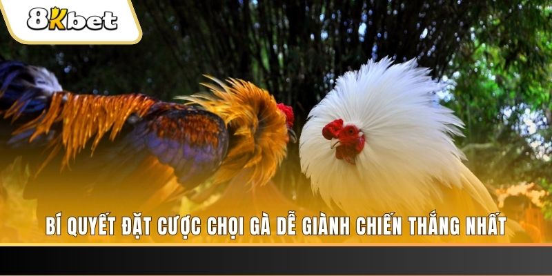 78wind xổ số thứ hai hàng tuần