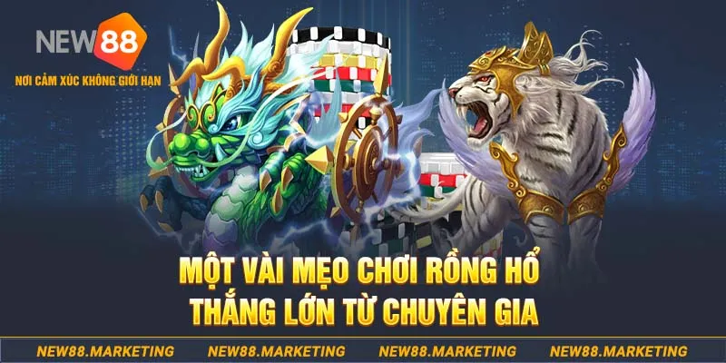 78wind slot machine là gì