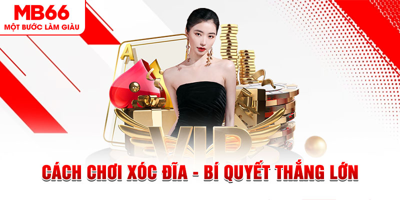 78wind trực tiếp đá gà c1 hôm nay