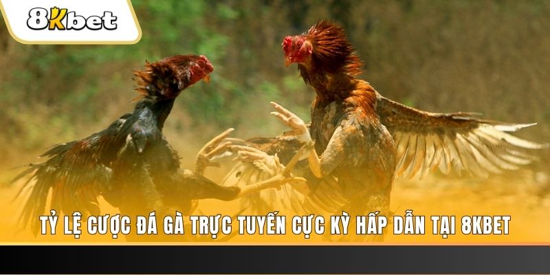 78wind baccarat online bịp như thế nào