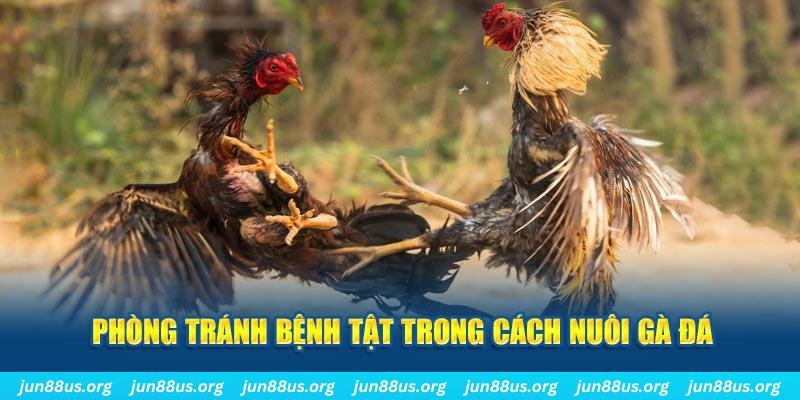 78wind đăng nhập phỏm online
