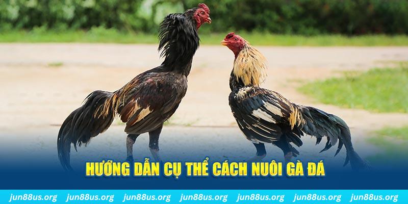 78wind đăng nhập sòng bạc số 1