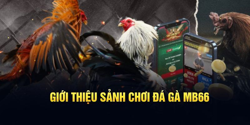 78wind đăng nhập poker hôm nay
