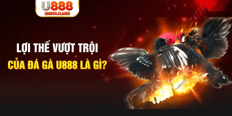 78wind 168G Điện Tử