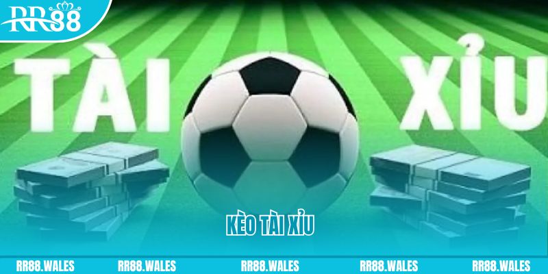 78wind Giành Chủ Bull Bull